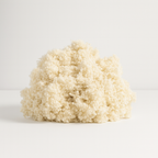 Oreiller 100% laine, housse en coton